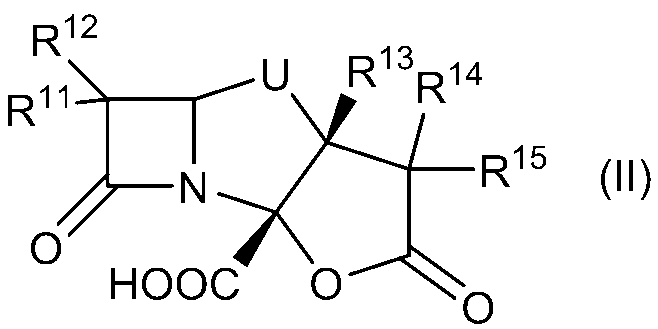 Figure JPOXMLDOC01-appb-C000023