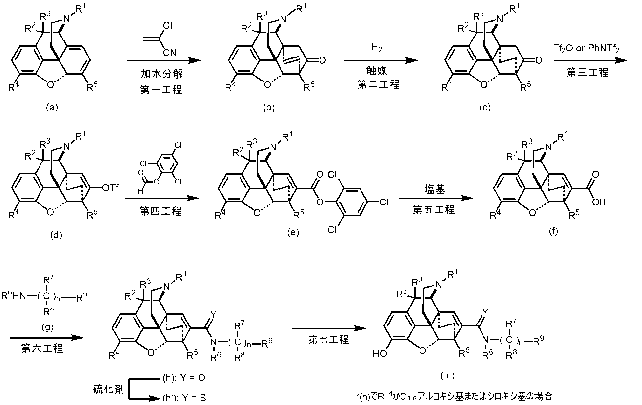 Figure JPOXMLDOC01-appb-C000006