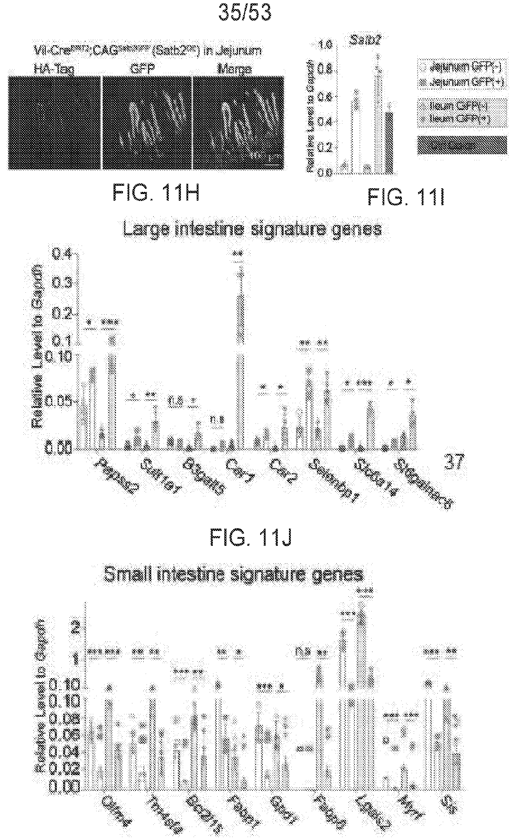Figure imgf000153_0001