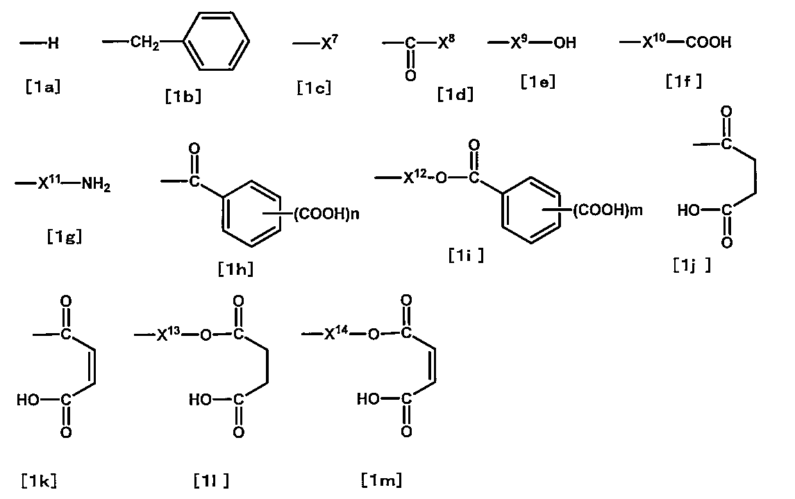 Figure JPOXMLDOC01-appb-C000020