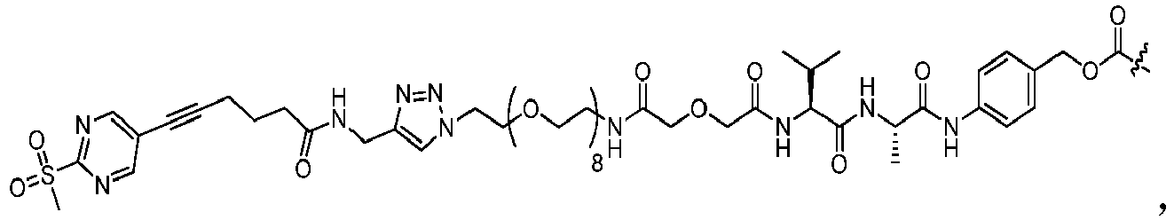 Figure imgb0104