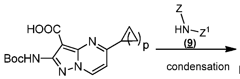Figure imgf000073_0003