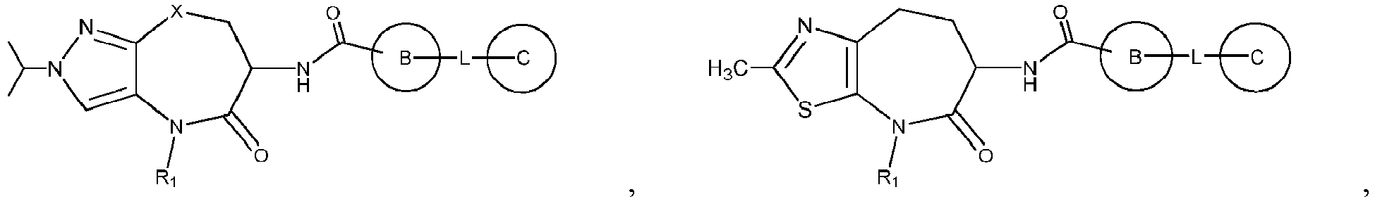 Figure imgb0010