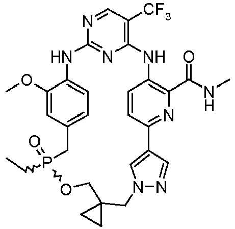 Figure imgb0105