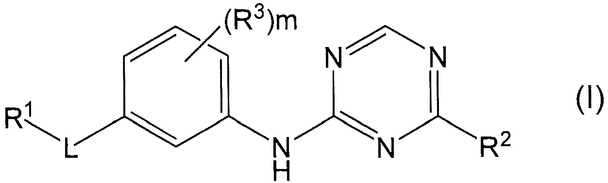 Figure imgb0004