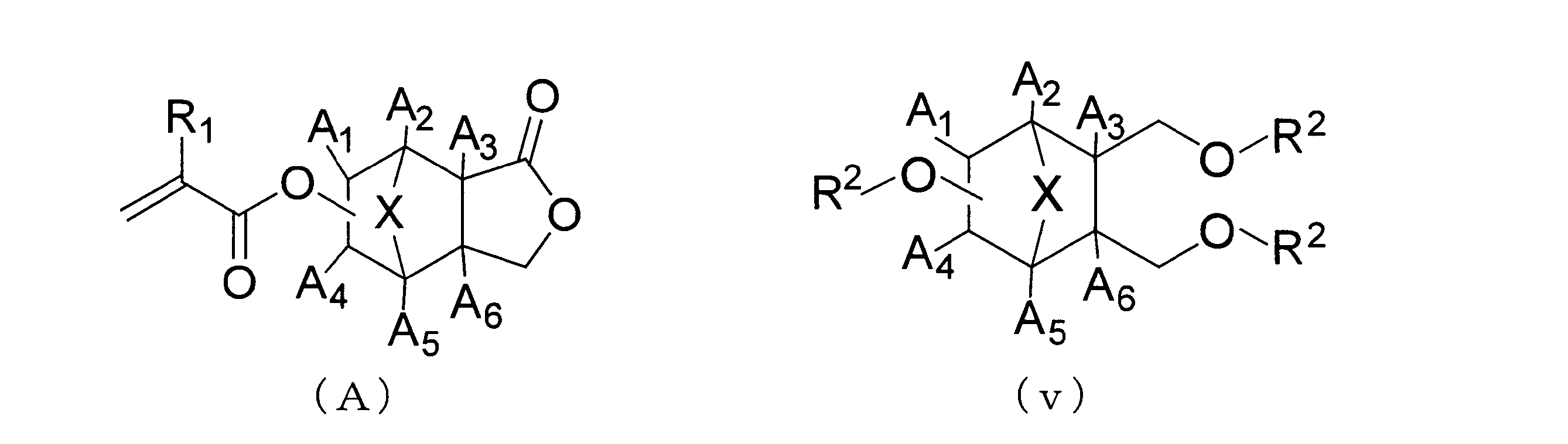 Figure JPOXMLDOC01-appb-C000019