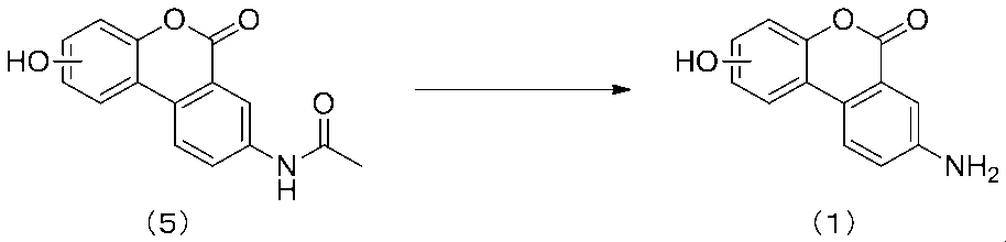 Figure JPOXMLDOC01-appb-I000017