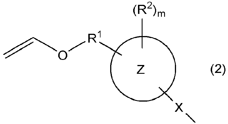 Figure imgb0002