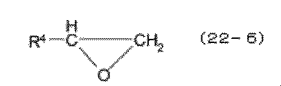 Figure JPOXMLDOC01-appb-C000055