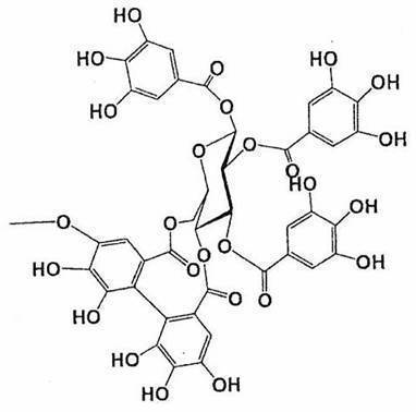 Figure JPOXMLDOC01-appb-C000012