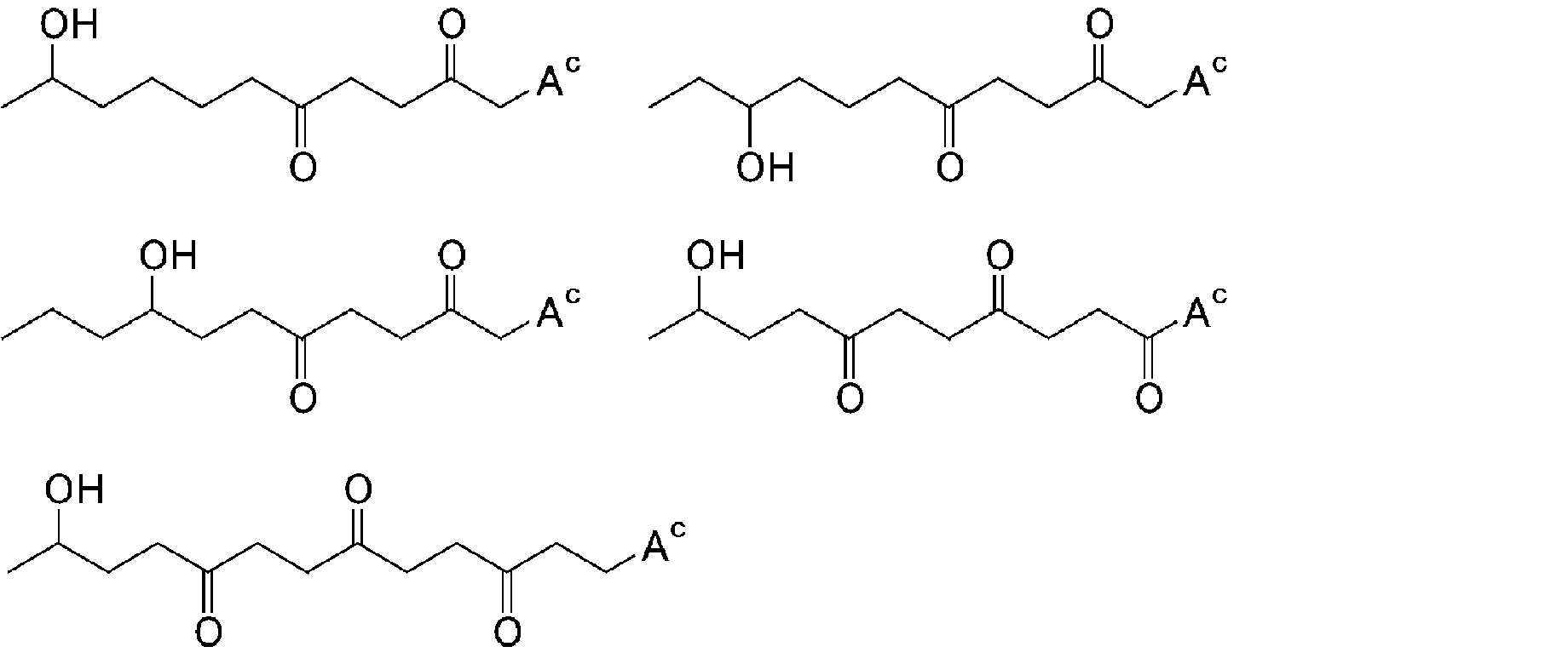 Figure JPOXMLDOC01-appb-C000024