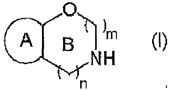 Figure imgb0027