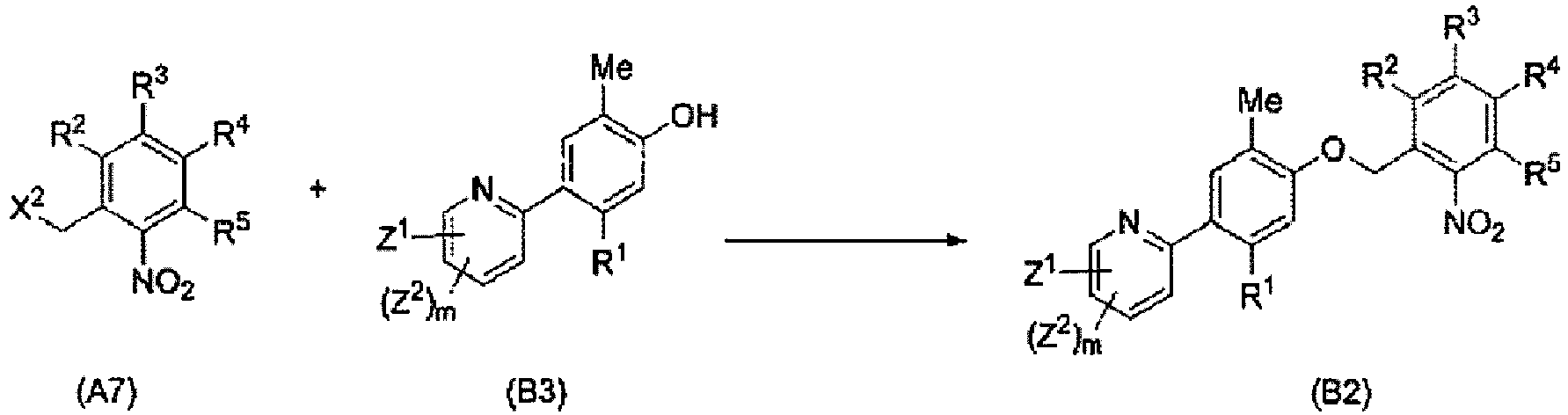 Figure imgb0010