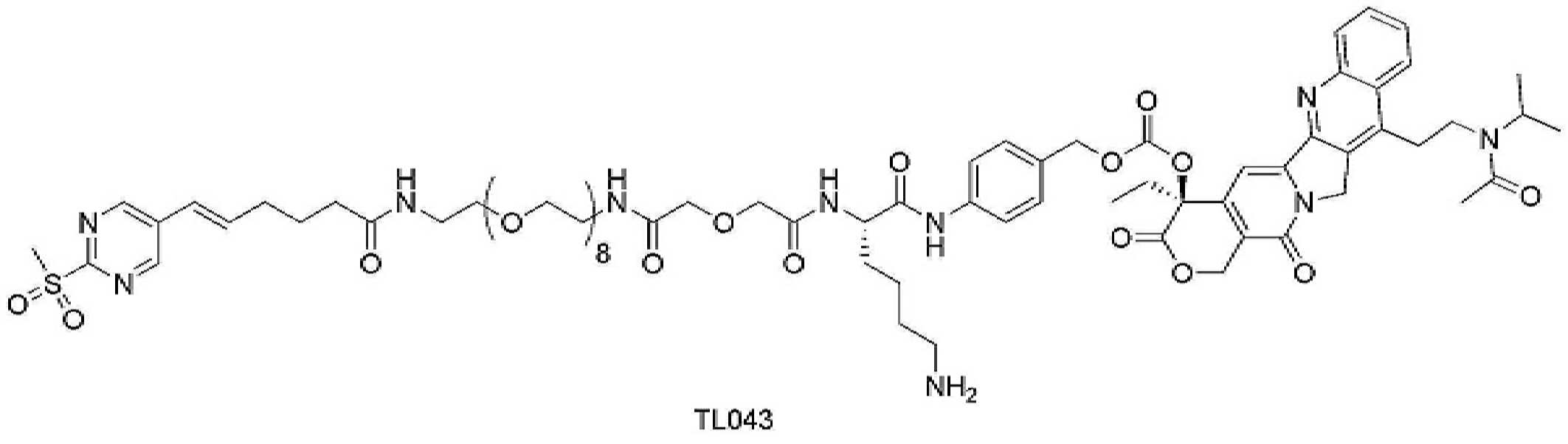 Figure pct00343