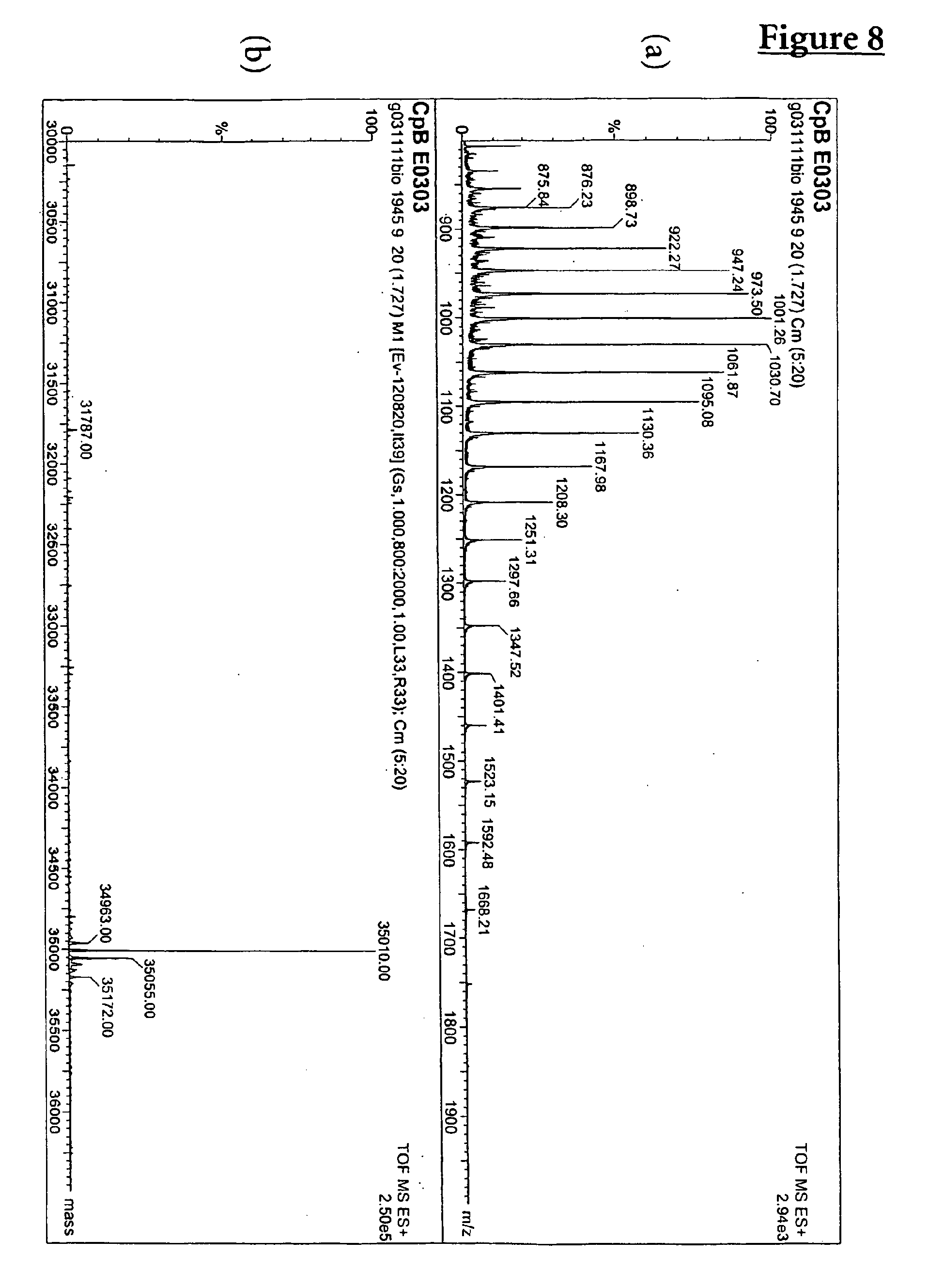 Epb1 Recombinantly Expressed Carboxypeptidase B And Purification Thereof Google Patents