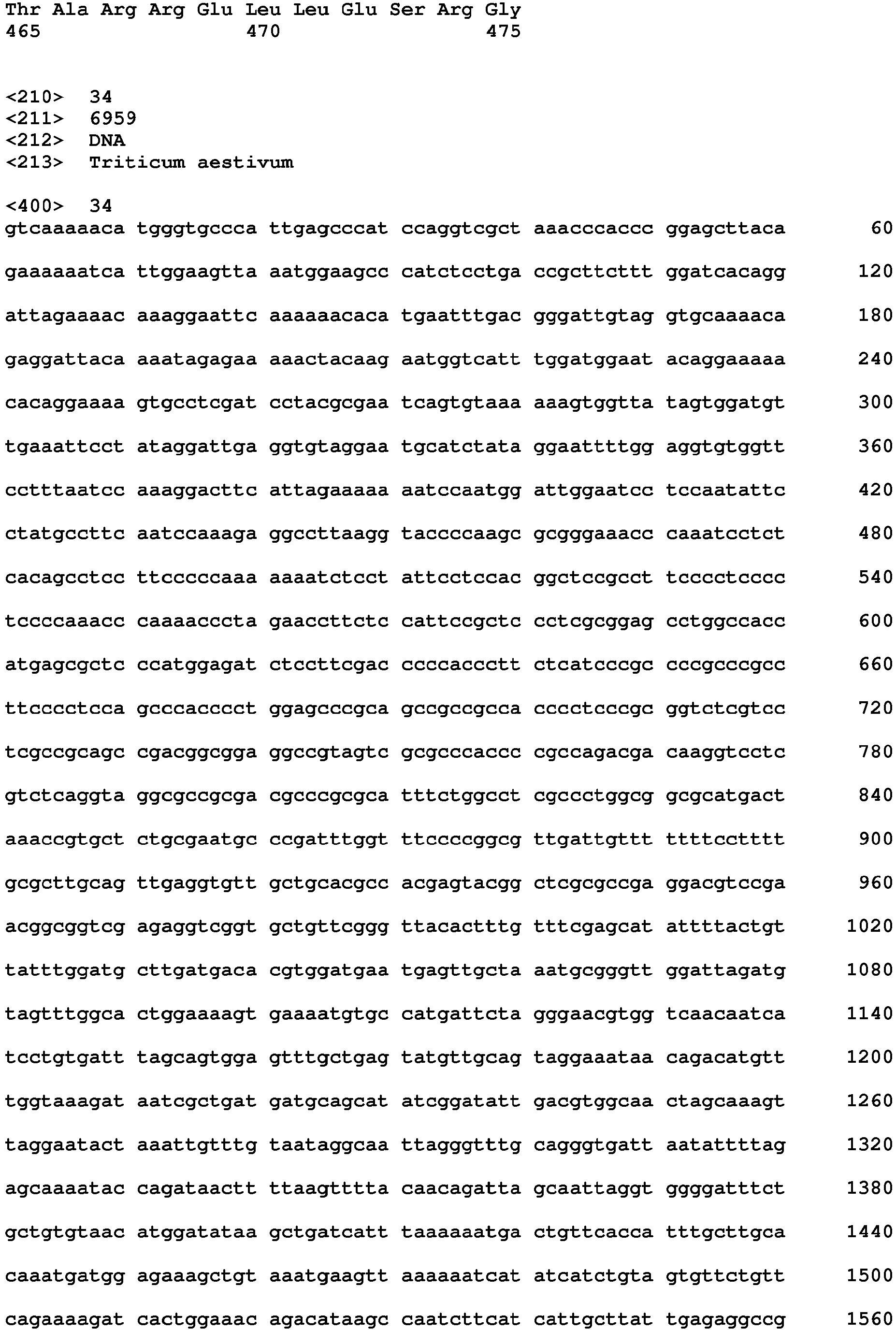 Figure imgb0019