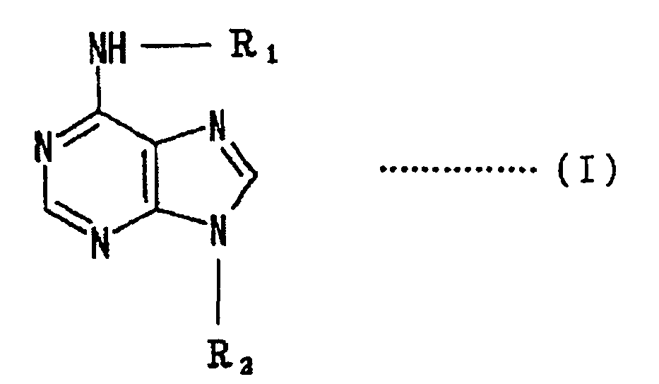 Figure imgb0001