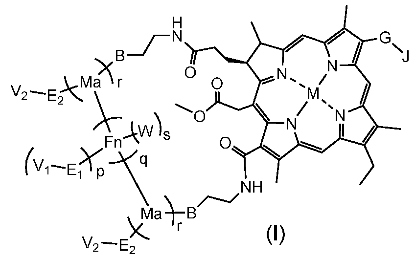 Figure imgf000005_0001