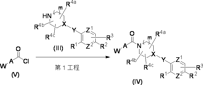Figure JPOXMLDOC01-appb-C000017