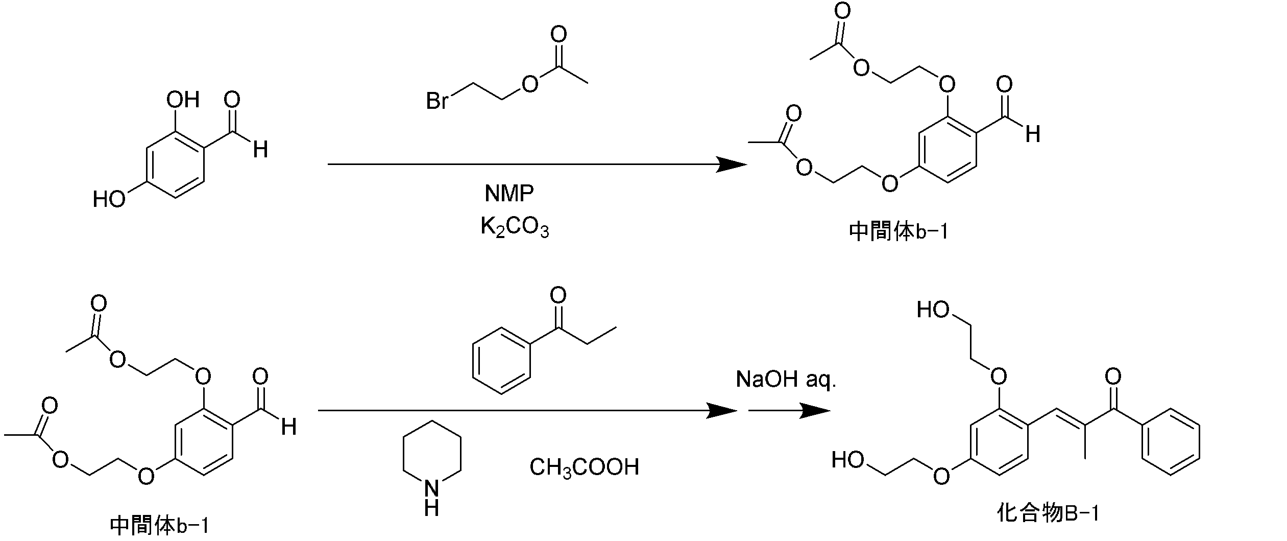 Figure JPOXMLDOC01-appb-C000016