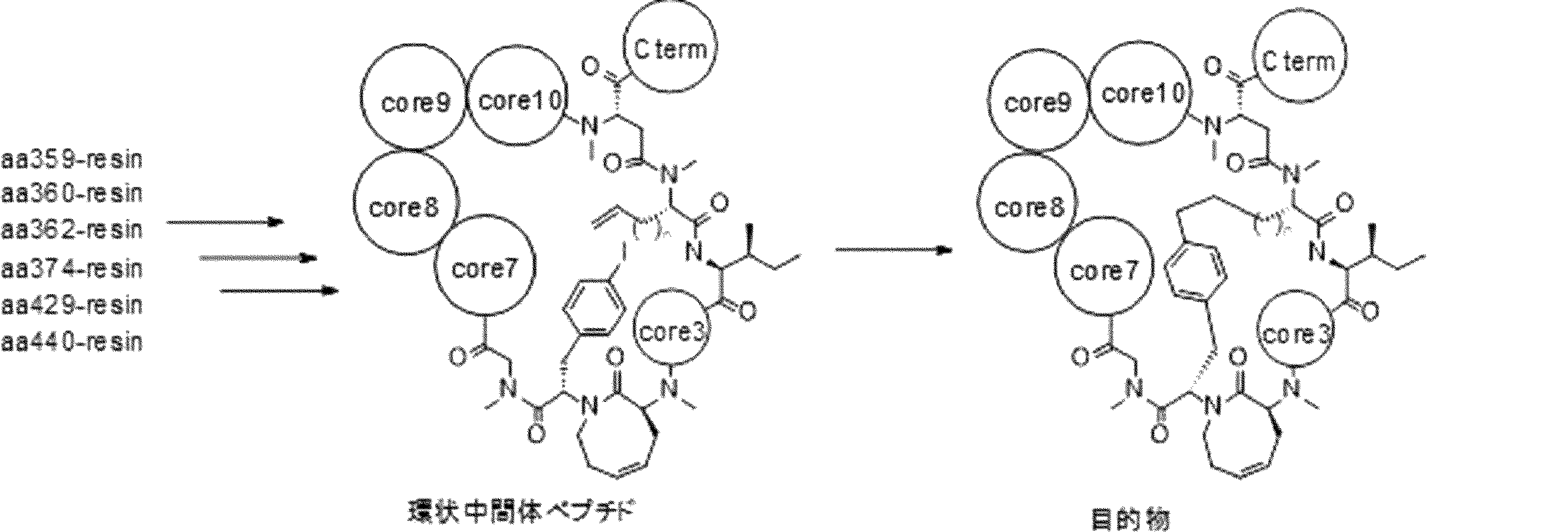 Figure JPOXMLDOC01-appb-I000440