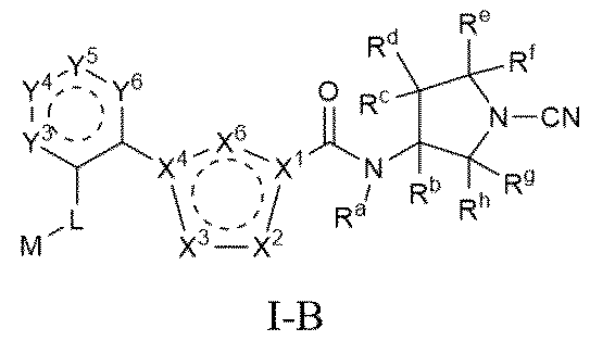 Figure 0007530889000016