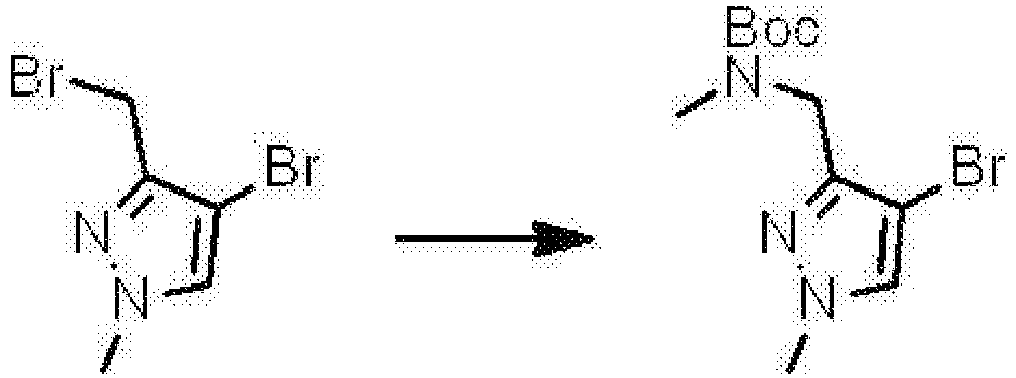 Figure imgb0807