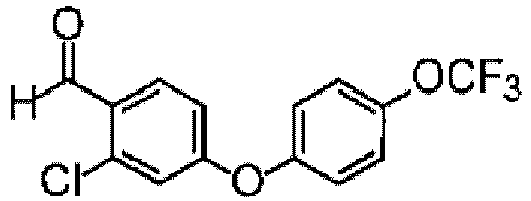 Figure imgb0174