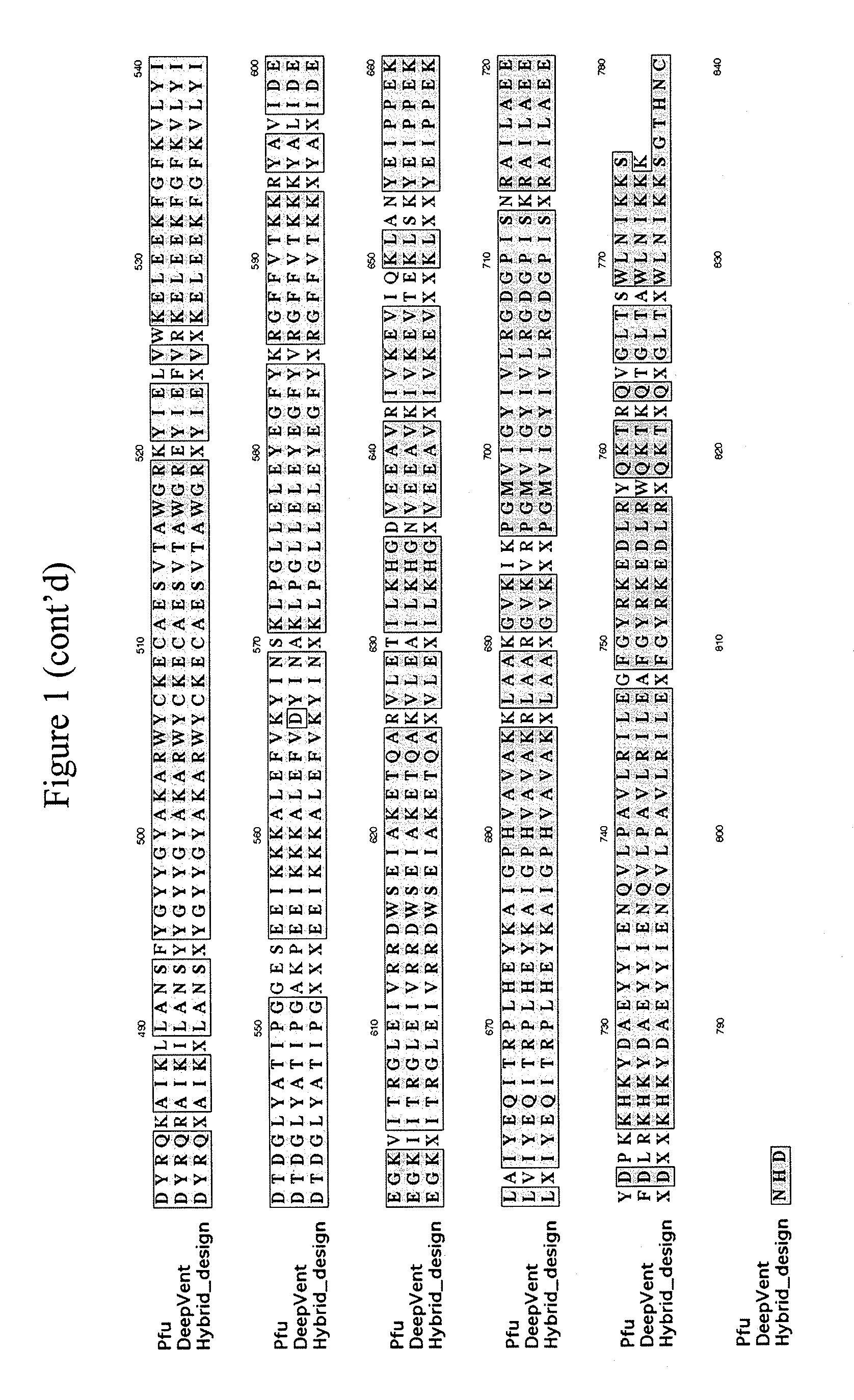 papilloma a caes-ben