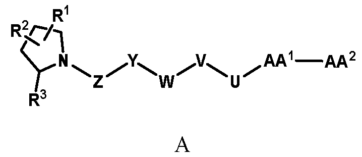 Figure imgf000005_0001