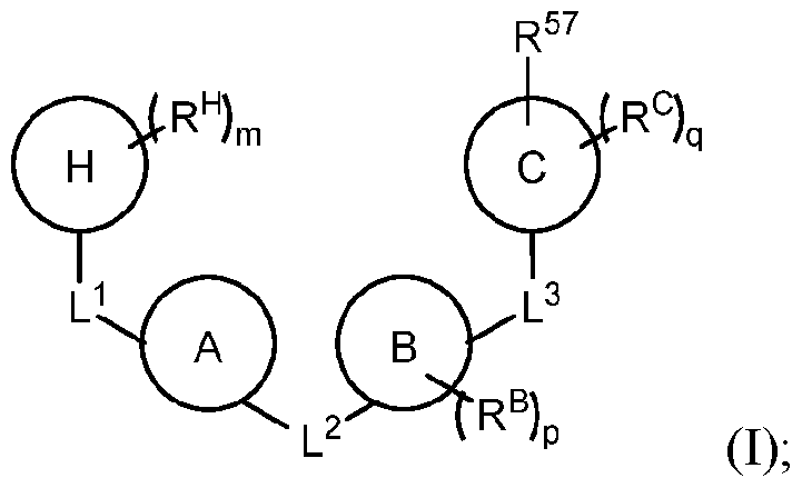 Figure imgf000003_0001