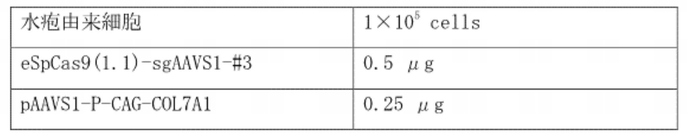 Figure JPOXMLDOC01-appb-T000004