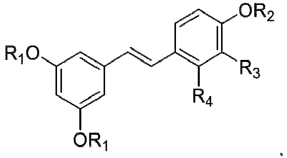 Figure imgb0051