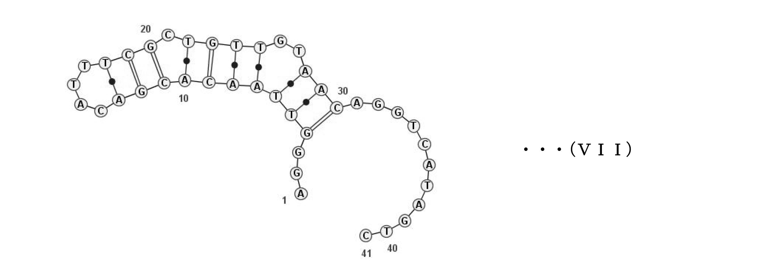 Figure JPOXMLDOC01-appb-C000007