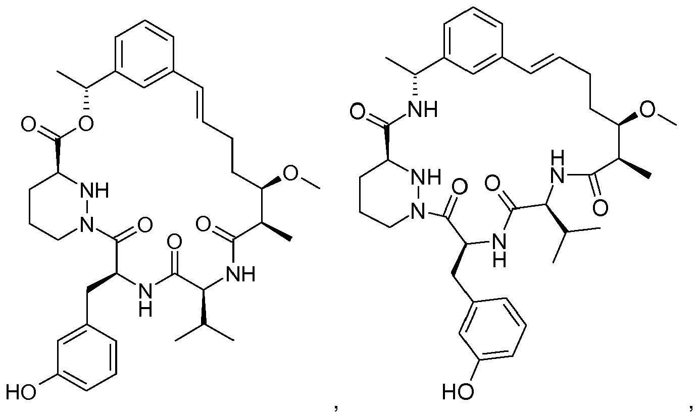 Figure imgb0160