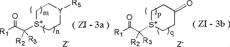 Figure JPOXMLDOC01-appb-C000050