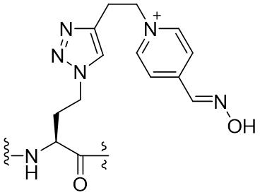 Figure JPOXMLDOC01-appb-C000064