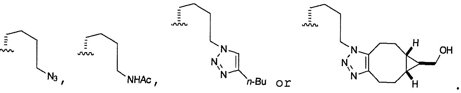 Figure imgf000026_0003