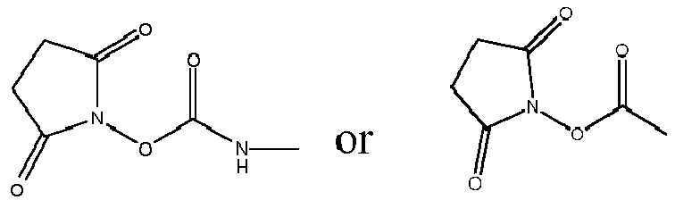 Figure imgb0011