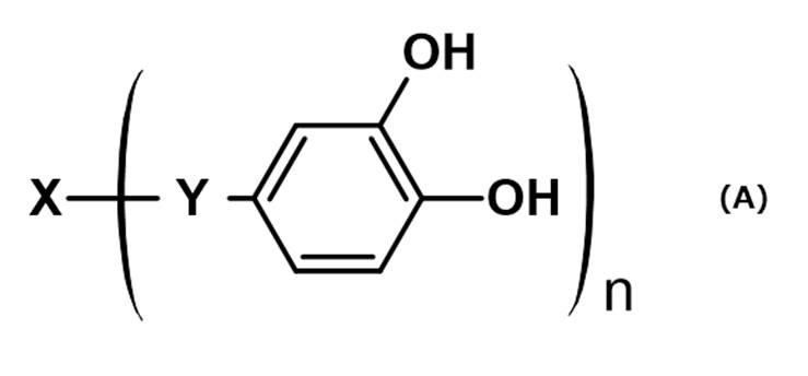 Figure JPOXMLDOC01-appb-C000009