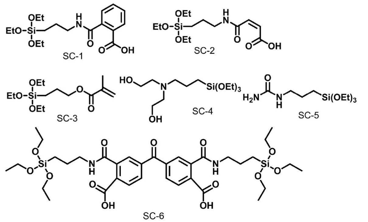 Figure JPOXMLDOC01-appb-C000048