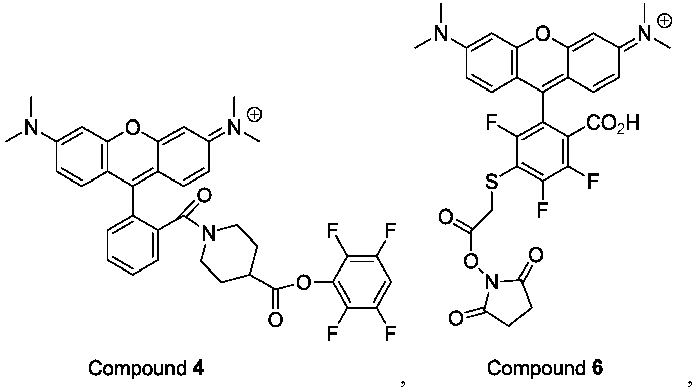 Figure imgb0019