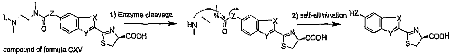 Figure imgb0074