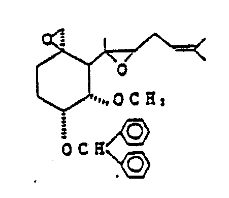 Figure imgb0056