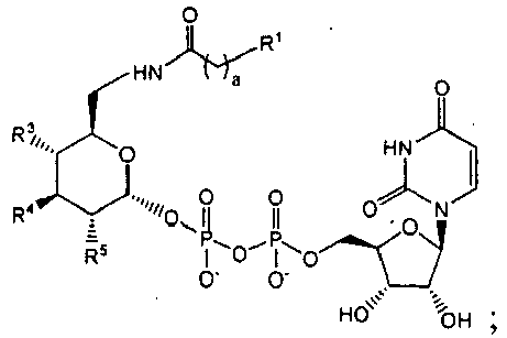 Figure imgb0059