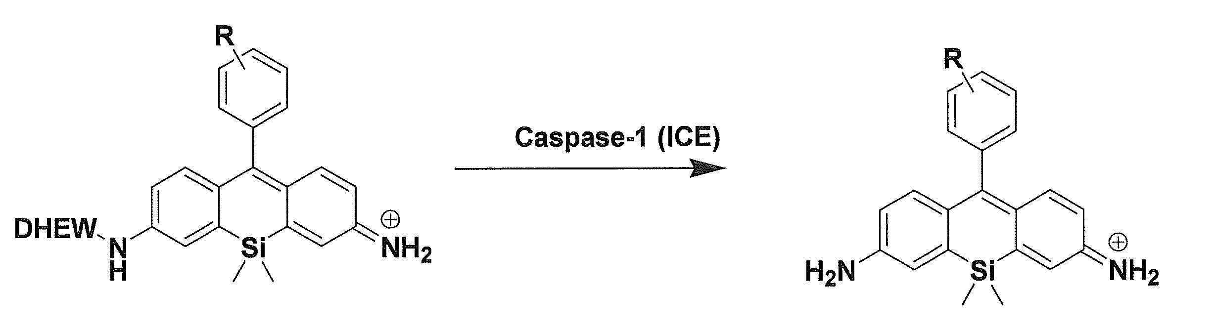 Figure JPOXMLDOC01-appb-C000017