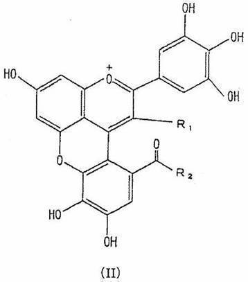 Figure JPOXMLDOC01-appb-C000016