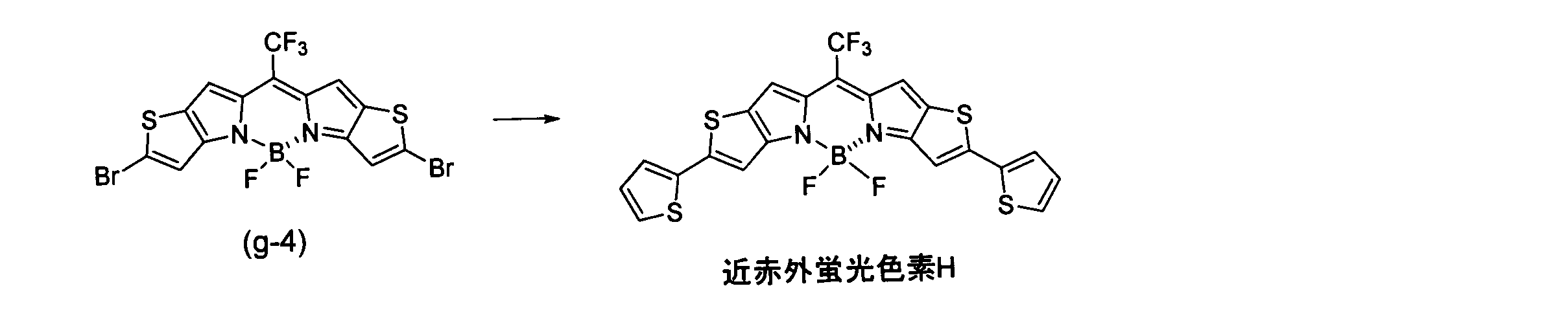 Figure JPOXMLDOC01-appb-C000077