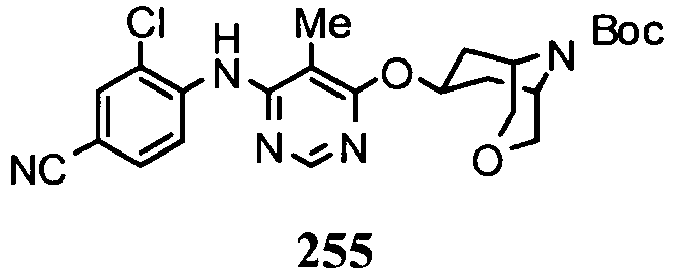 Figure imgb0313