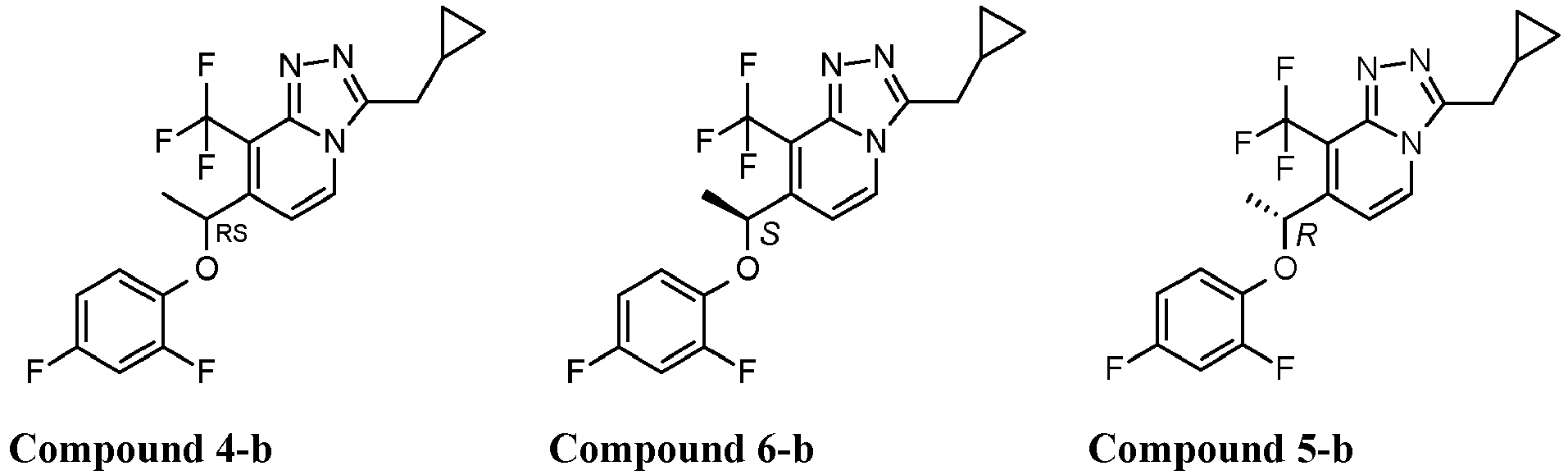 Figure imgb0096